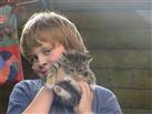 Zoon Piet en kleine Kitty