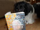 Mooss leest  ' Ik ga Kut'