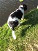 Mooss  het watr in..